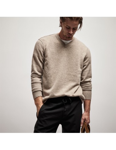 Cashmere V Neck Sweater - Coyote d'Europe débarque